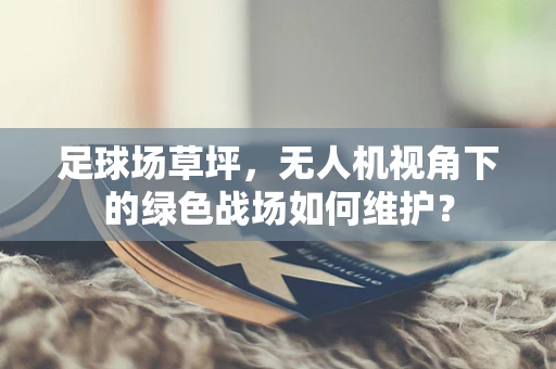 足球场草坪，无人机视角下的绿色战场如何维护？