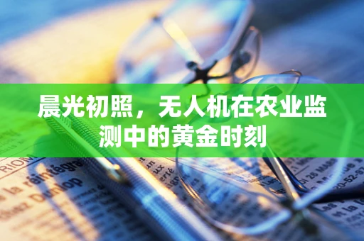晨光初照，无人机在农业监测中的黄金时刻