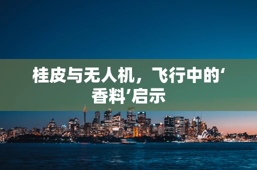 桂皮与无人机，飞行中的‘香料’启示