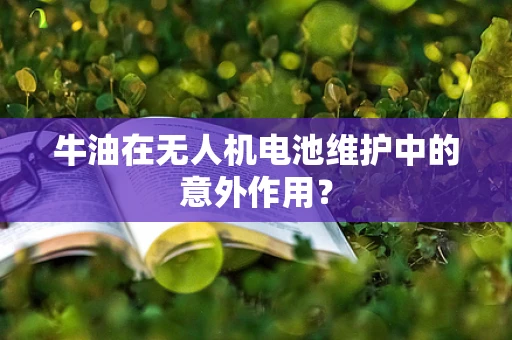 牛油在无人机电池维护中的意外作用？
