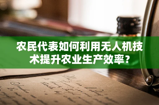 农民代表如何利用无人机技术提升农业生产效率？