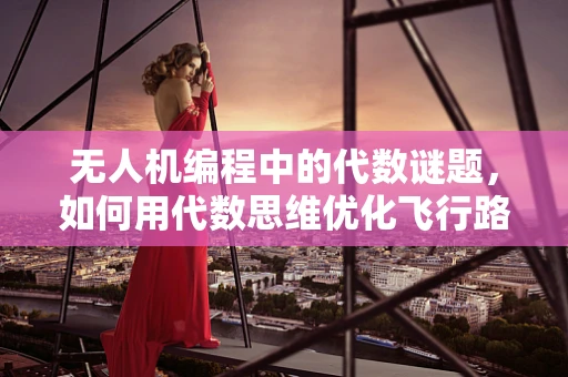 无人机编程中的代数谜题，如何用代数思维优化飞行路径？