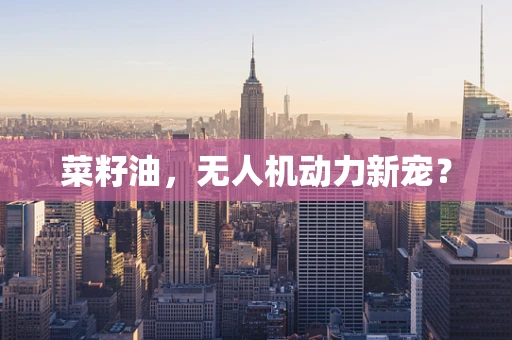 菜籽油，无人机动力新宠？