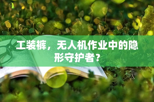 工装裤，无人机作业中的隐形守护者？