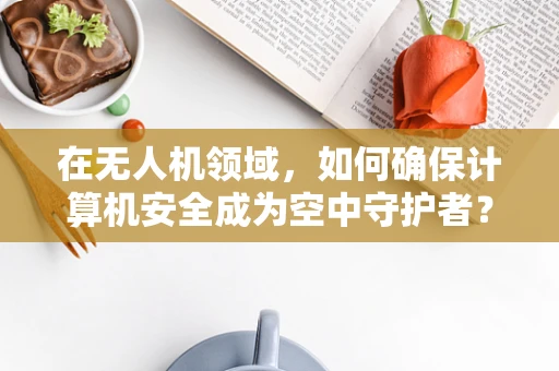 在无人机领域，如何确保计算机安全成为空中守护者？