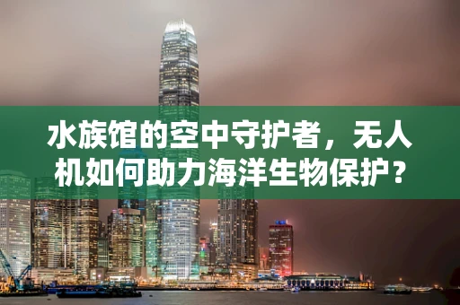水族馆的空中守护者，无人机如何助力海洋生物保护？