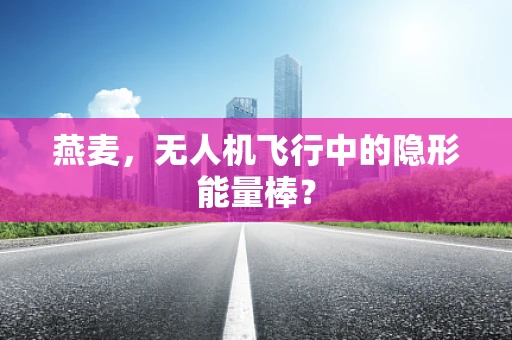 燕麦，无人机飞行中的隐形能量棒？