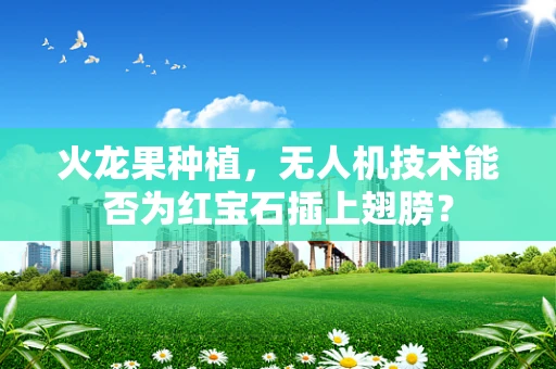 火龙果种植，无人机技术能否为红宝石插上翅膀？