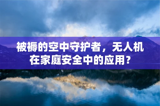 被褥的空中守护者，无人机在家庭安全中的应用？