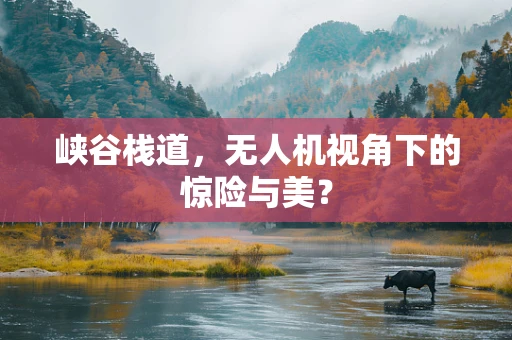 峡谷栈道，无人机视角下的惊险与美？