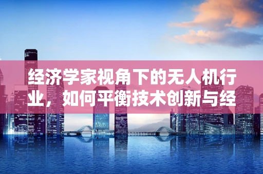 经济学家视角下的无人机行业，如何平衡技术创新与经济效益？