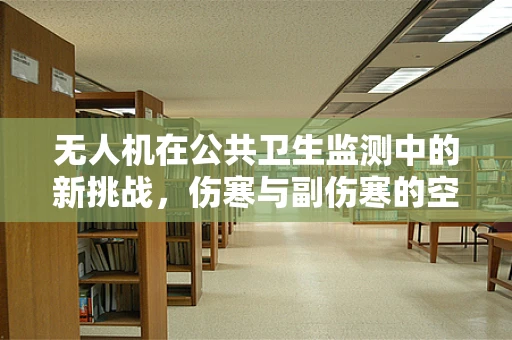 无人机在公共卫生监测中的新挑战，伤寒与副伤寒的空中侦测