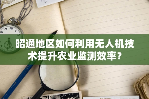 昭通地区如何利用无人机技术提升农业监测效率？