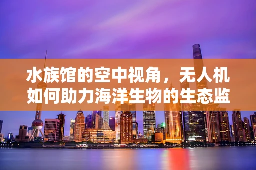 水族馆的空中视角，无人机如何助力海洋生物的生态监测？