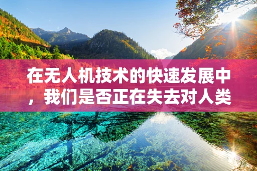 在无人机技术的快速发展中，我们是否正在失去对人类情感的同情？
