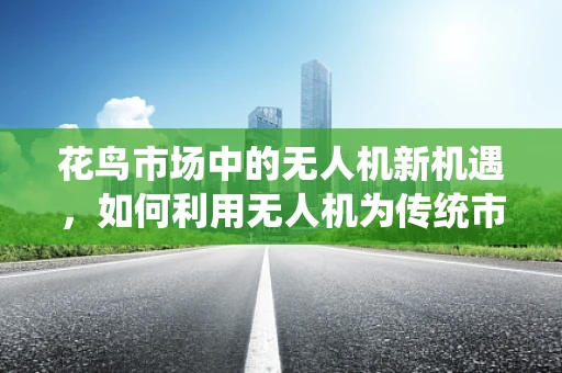 花鸟市场中的无人机新机遇，如何利用无人机为传统市场注入科技活力？