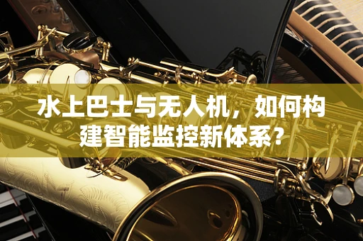 水上巴士与无人机，如何构建智能监控新体系？