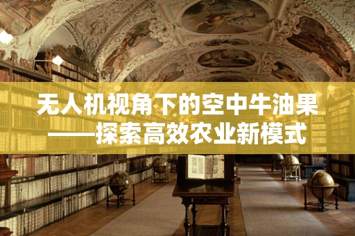 无人机视角下的空中牛油果——探索高效农业新模式