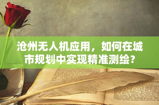 沧州无人机应用，如何在城市规划中实现精准测绘？