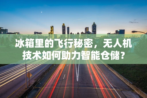 冰箱里的飞行秘密，无人机技术如何助力智能仓储？