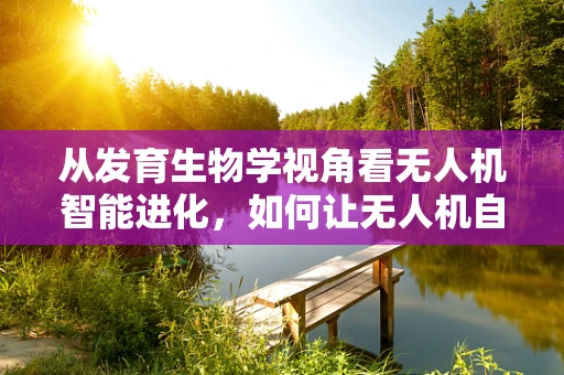 从发育生物学视角看无人机智能进化，如何让无人机自我成长更智能？