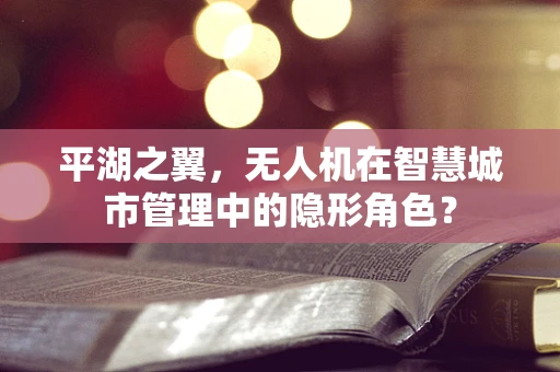 平湖之翼，无人机在智慧城市管理中的隐形角色？