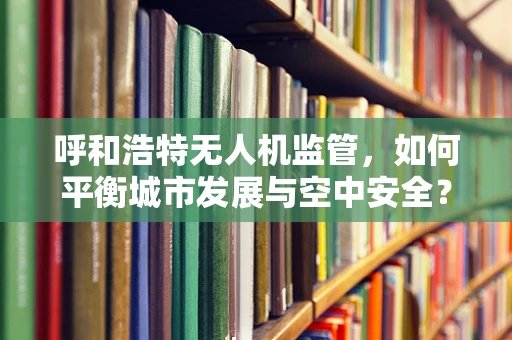 呼和浩特无人机监管，如何平衡城市发展与空中安全？