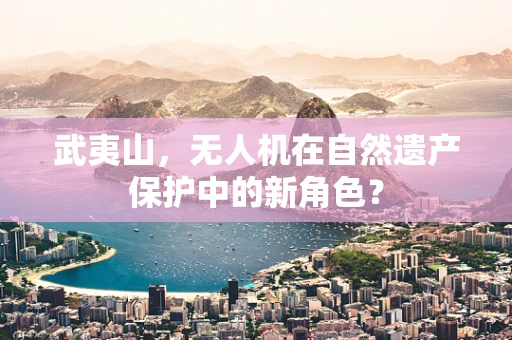 武夷山，无人机在自然遗产保护中的新角色？