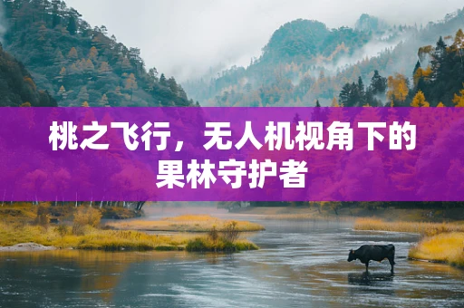 桃之飞行，无人机视角下的果林守护者