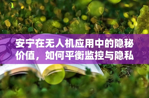 安宁在无人机应用中的隐秘价值，如何平衡监控与隐私的边界？