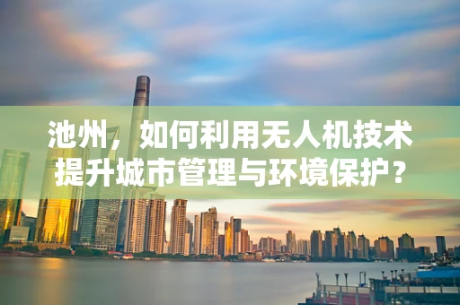 池州，如何利用无人机技术提升城市管理与环境保护？