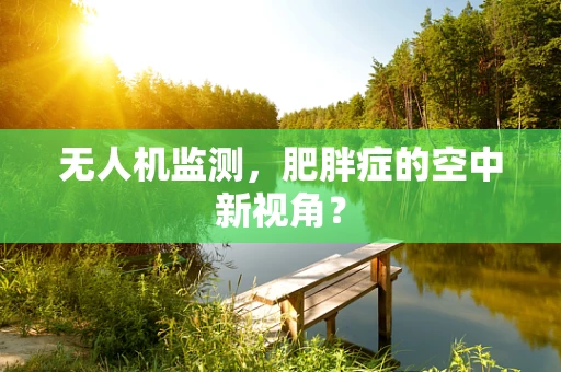 无人机监测，肥胖症的空中新视角？
