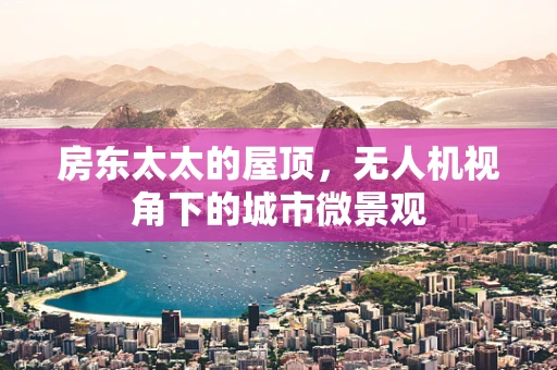 房东太太的屋顶，无人机视角下的城市微景观