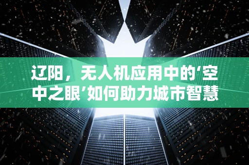 辽阳，无人机应用中的‘空中之眼’如何助力城市智慧升级？