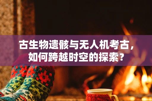 古生物遗骸与无人机考古，如何跨越时空的探索？
