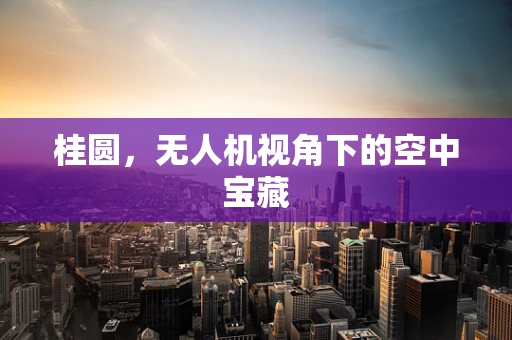 桂圆，无人机视角下的空中宝藏