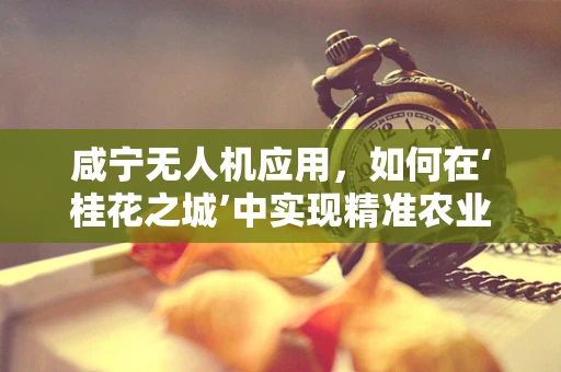 咸宁无人机应用，如何在‘桂花之城’中实现精准农业监测？