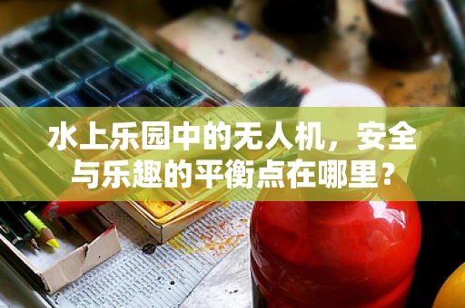 水上乐园中的无人机，安全与乐趣的平衡点在哪里？