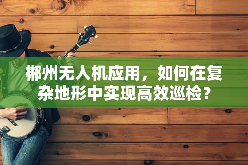 郴州无人机应用，如何在复杂地形中实现高效巡检？