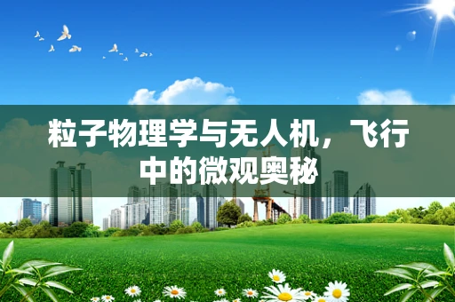 粒子物理学与无人机，飞行中的微观奥秘