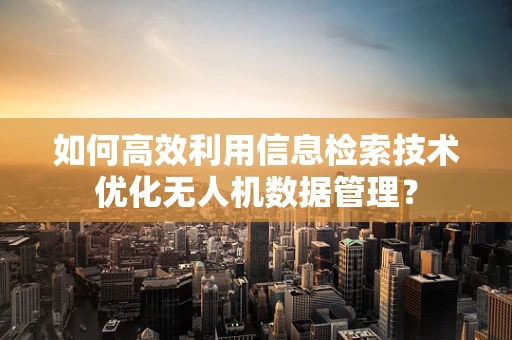 如何高效利用信息检索技术优化无人机数据管理？