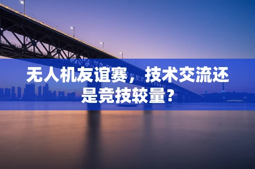 无人机友谊赛，技术交流还是竞技较量？