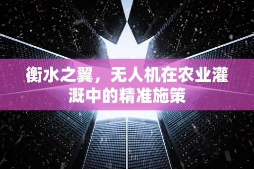 衡水之翼，无人机在农业灌溉中的精准施策