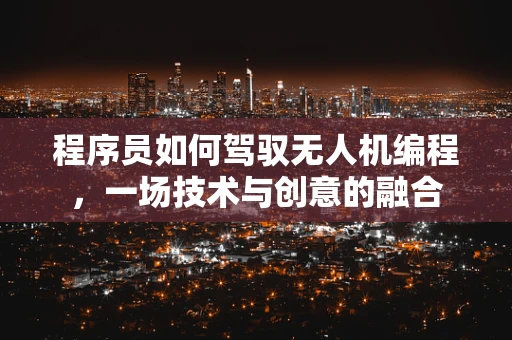 程序员如何驾驭无人机编程，一场技术与创意的融合