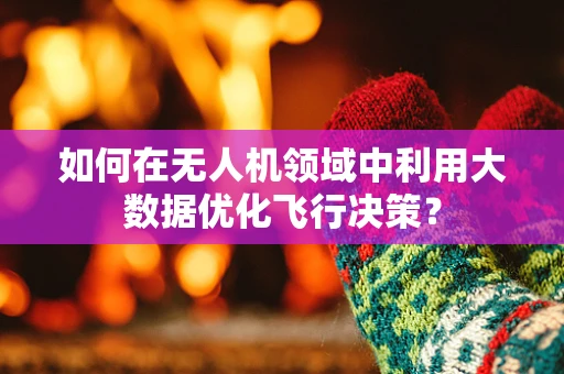 如何在无人机领域中利用大数据优化飞行决策？