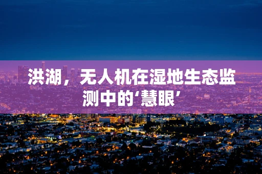 洪湖，无人机在湿地生态监测中的‘慧眼’