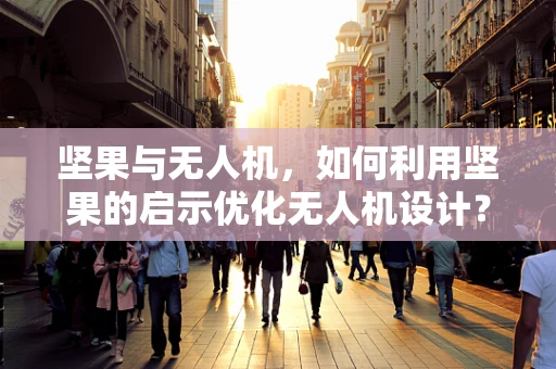 坚果与无人机，如何利用坚果的启示优化无人机设计？