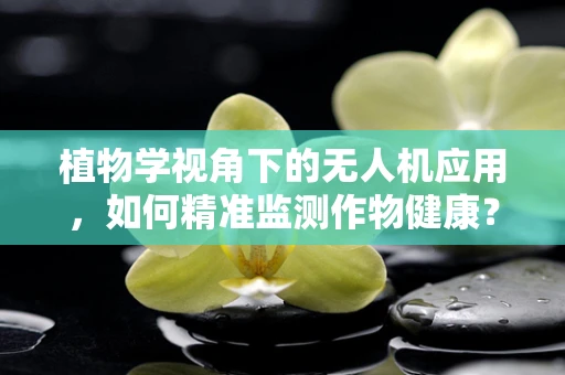 植物学视角下的无人机应用，如何精准监测作物健康？