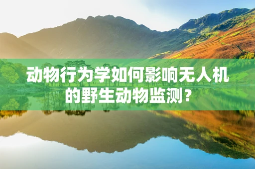 动物行为学如何影响无人机的野生动物监测？