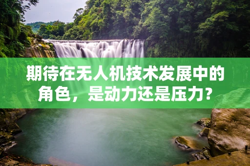 期待在无人机技术发展中的角色，是动力还是压力？